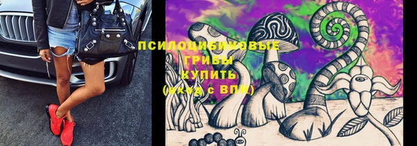 соль курить ск Михайловка