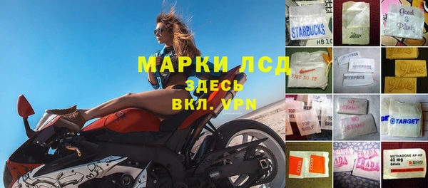 СК Михайловск