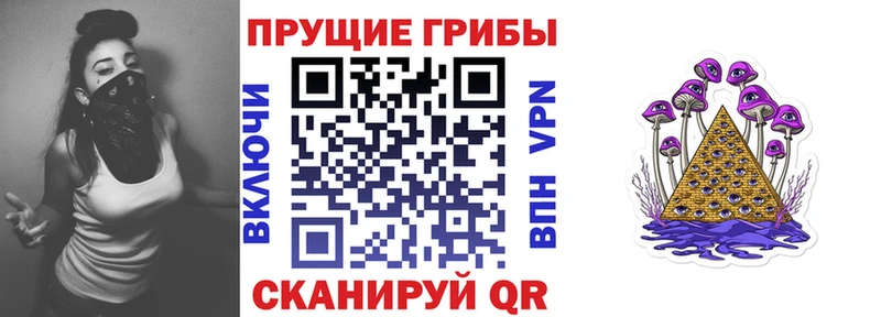 Галлюциногенные грибы мицелий  закладки  Альметьевск 